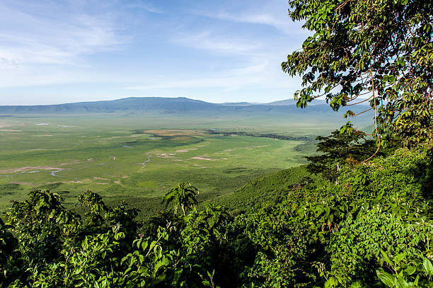 Ngorongoro Crater panoramic view