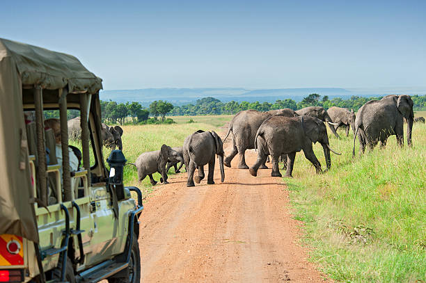 Ultra-luxury private safari East Africa