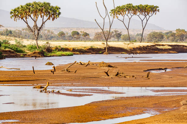 Samburu wildlife and arid landscape